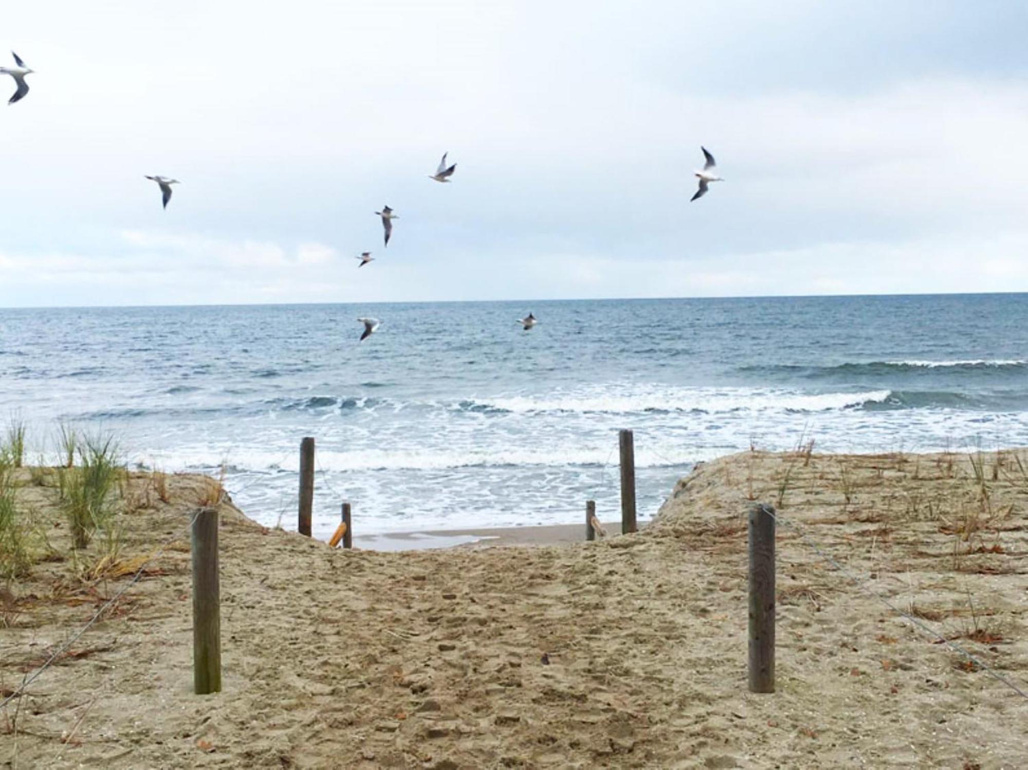 Beim Windmueller App 1,7-10 *